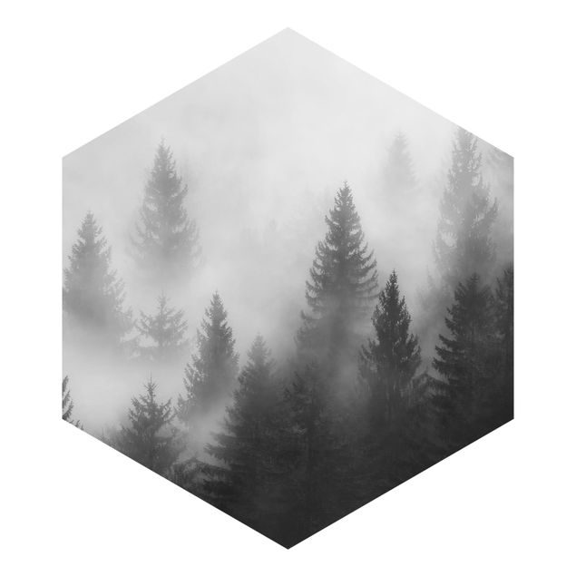 Wanddeko über Sofa Nadelwald im Nebel Schwarz Weiß