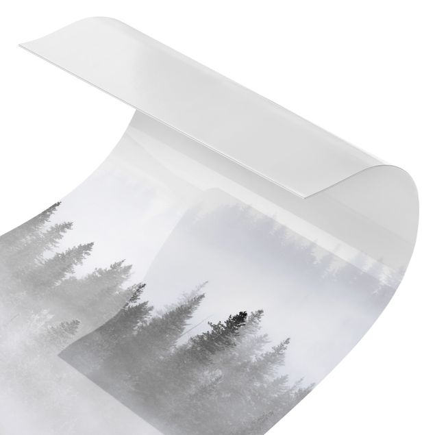 Wanddeko Fotografie Nebel im Tannenwald Schwarz-weiß
