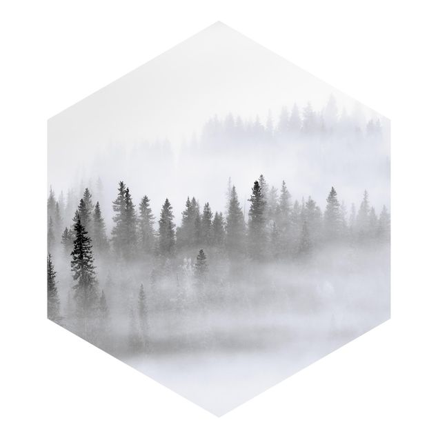 Wanddeko über Sofa Nebel im Tannenwald Schwarz-Weiß