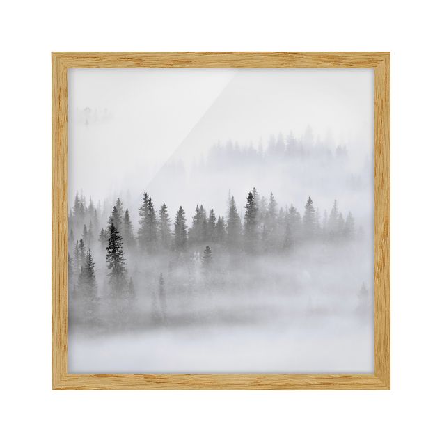 Wanddeko Esszimmer Nebel im Tannenwald Schwarz-Weiß
