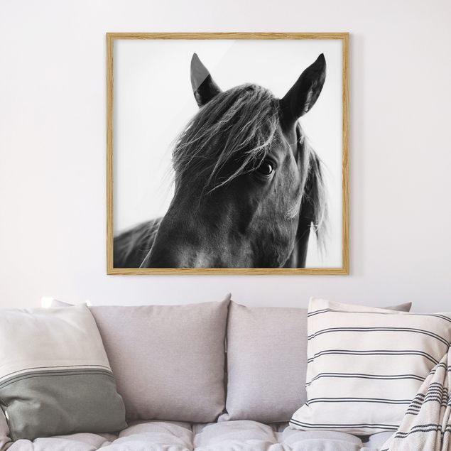Wanddeko Schlafzimmer Neugieriges Pferd
