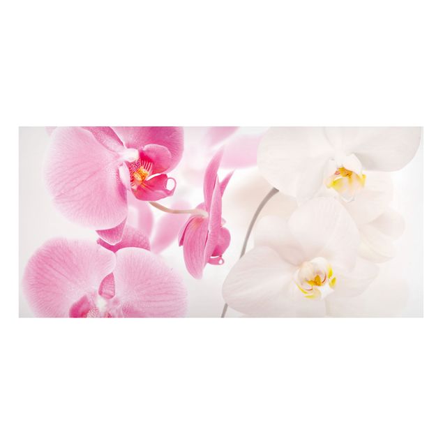 Wanddeko Blume Delicate Orchids