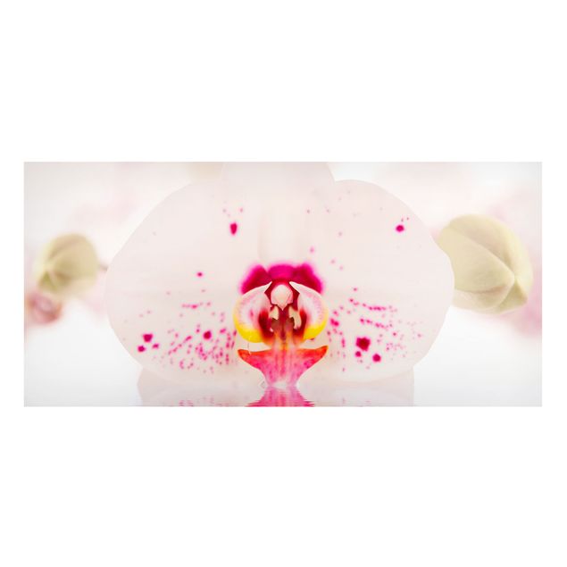 Deko Blume Gepunktete Orchidee auf Wasser
