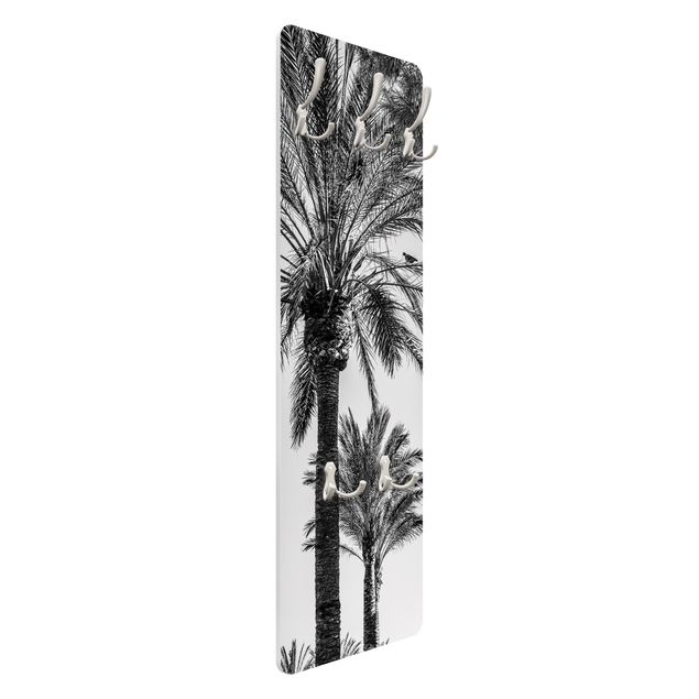 Wanddeko Palme Palmen im Sonnenuntergang Schwarz-Weiß