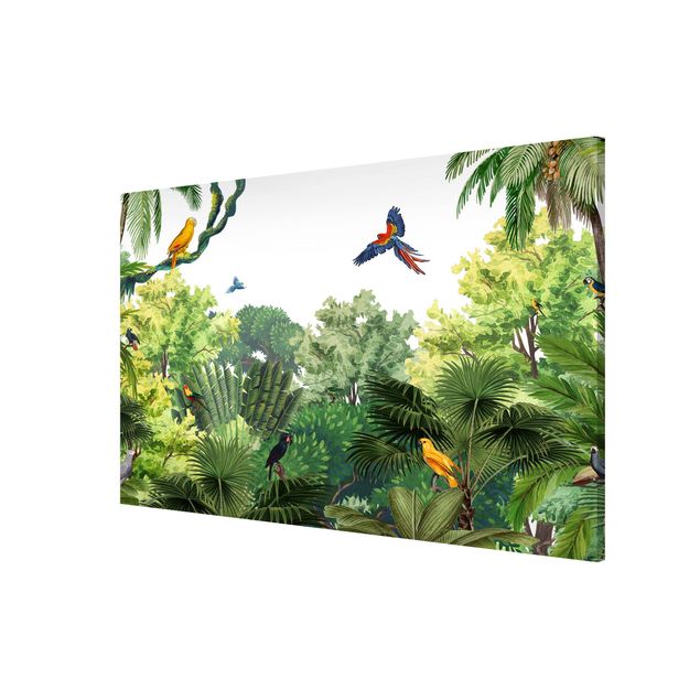 Wanddeko Büro Papageienparade im Dschungel