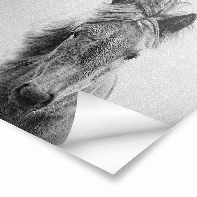 Wanddeko schwarz-weiß Pferd Pauline Schwarz Weiß