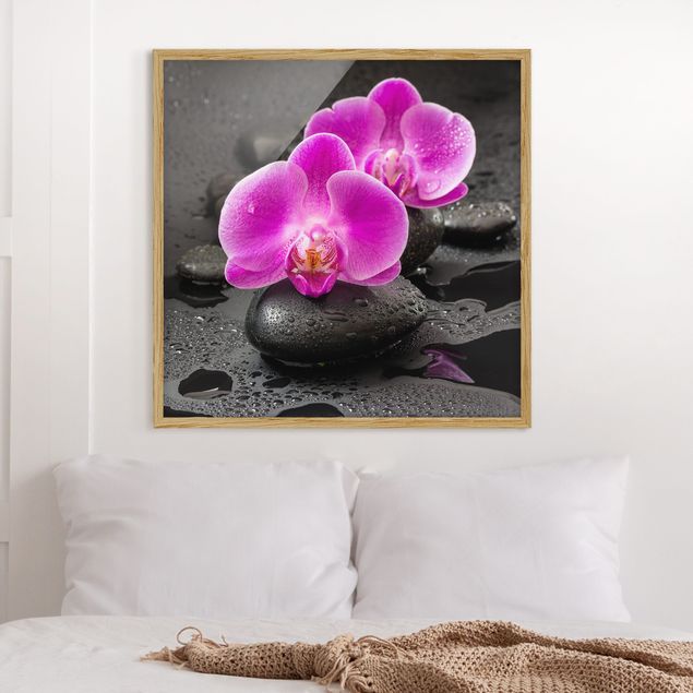 Wandbilder Orchideen Pinke Orchideenblüten auf Steinen mit Tropfen