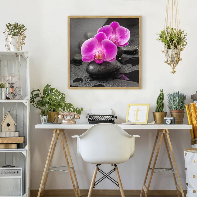 Wanddeko Büro Pinke Orchideenblüten auf Steinen mit Tropfen