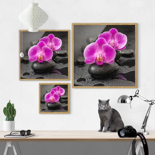 Wanddeko Gäste WC Pinke Orchideenblüten auf Steinen mit Tropfen