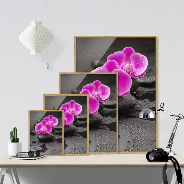 Wanddeko Gäste WC Pinke Orchideenblüten auf Steinen mit Tropfen