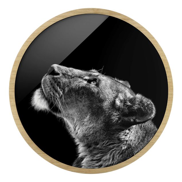Wanddeko schwarz-weiß Portrait einer Löwin
