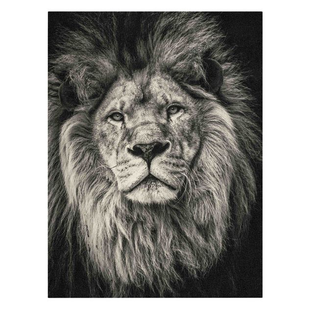 Wandbilder Löwen Portrait Löwe Schwarz Weiß