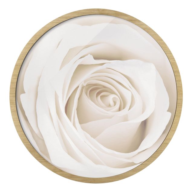 Wanddeko Büro Pretty White Rose