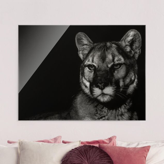 Wanddeko Schlafzimmer Puma vor Schwarz