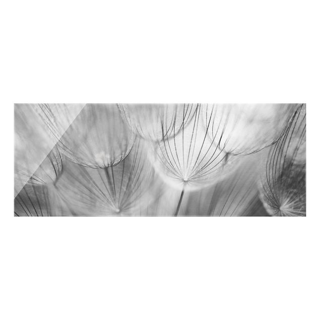 Wanddeko Esszimmer Pusteblumen Makroaufnahme in schwarz weiss