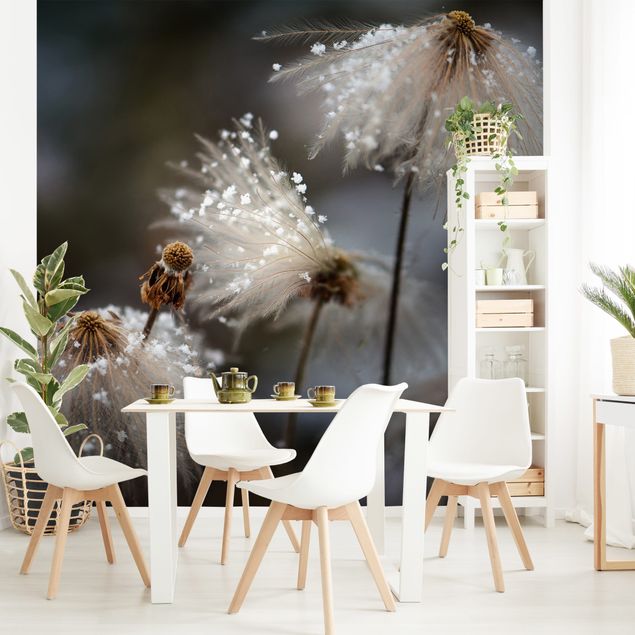Wanddeko Wohnzimmer Pusteblumen mit Schneeflocken