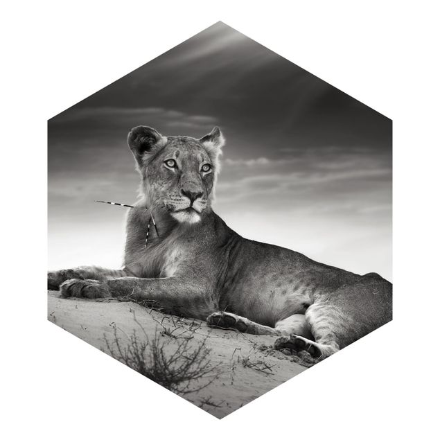 Wanddeko Büro Resting Lion