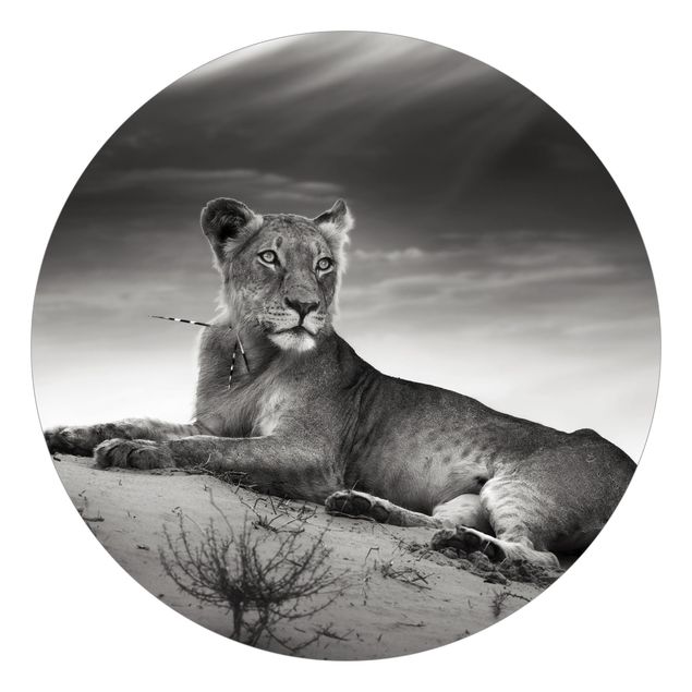 Wanddeko Flur Resting Lion