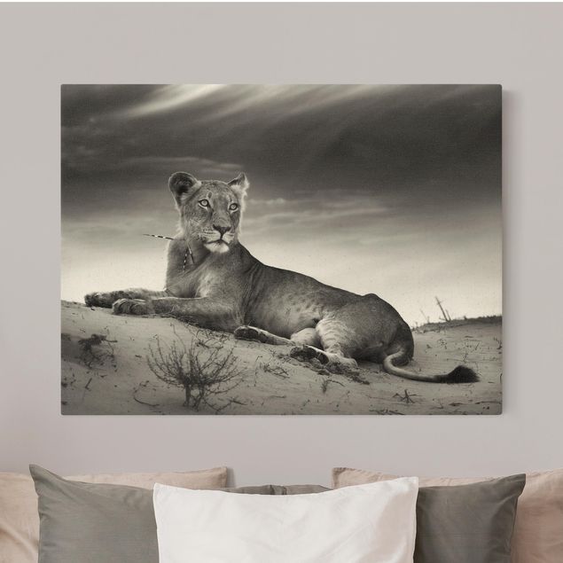 Wanddeko Schlafzimmer Resting Lion