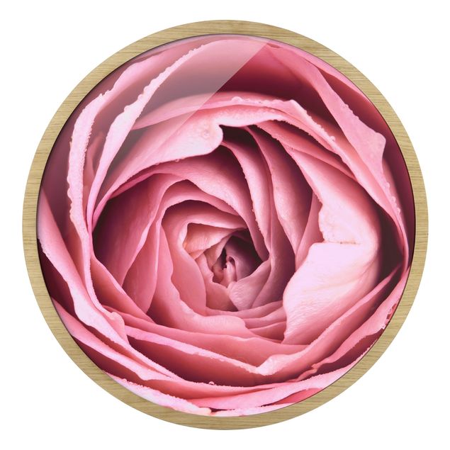 Wanddeko Rose Rosa Rosenblüte