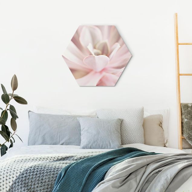 Wanddeko Schlafzimmer Rosane Sukkulentenblüte