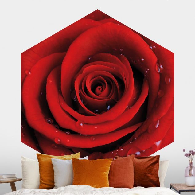 Wanddeko braun Rote Rose mit Wassertropfen