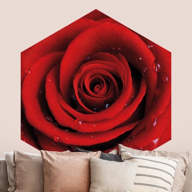Tapete Rosen Rote Rose mit Wassertropfen