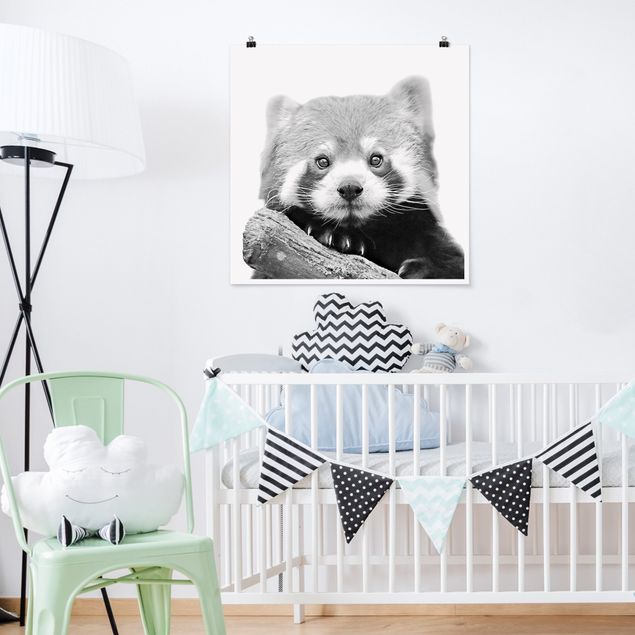 Wanddeko Babyzimmer Roter Panda in Schwarz-weiß