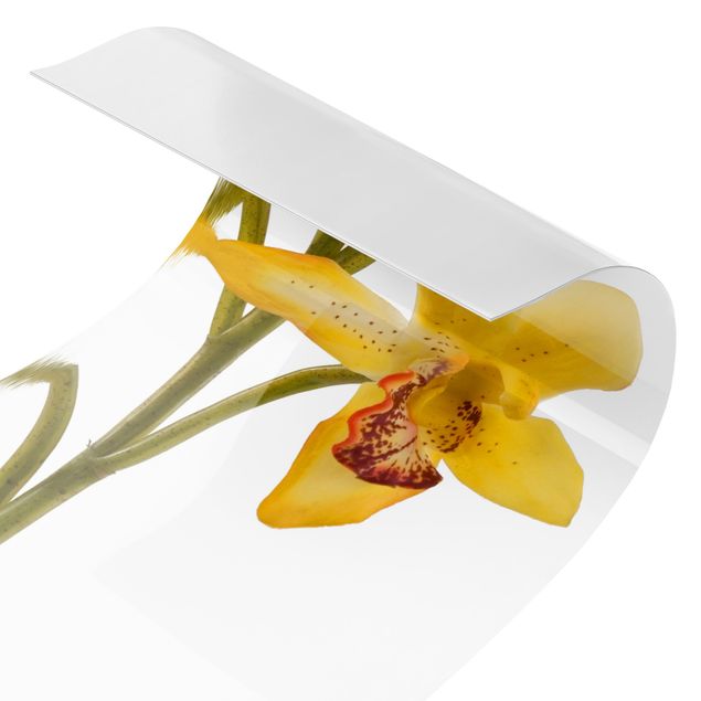 selbstklebende Klebefolie Saffron Orchid Waters