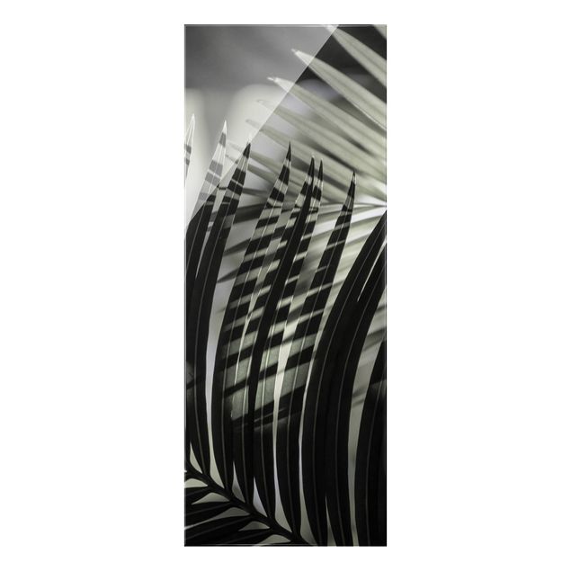 Wanddeko Büro Schattenspiel auf Palmenwedel