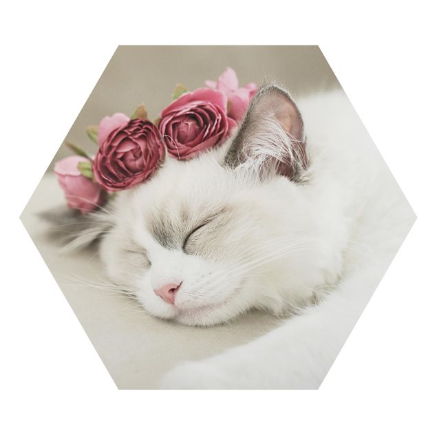 Wanddeko Rose Schlafende Katze mit Rosen