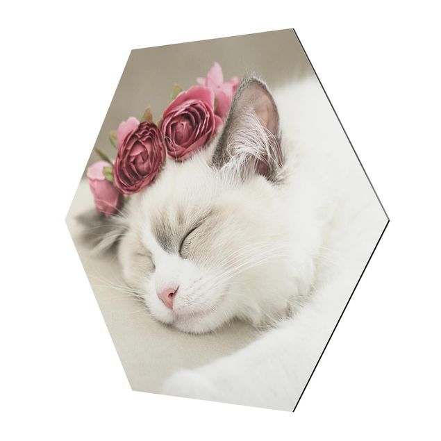 Wanddeko draußen Schlafende Katze mit Rosen
