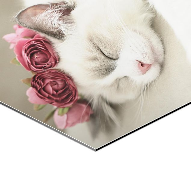 Wanddeko weiß Schlafende Katze mit Rosen