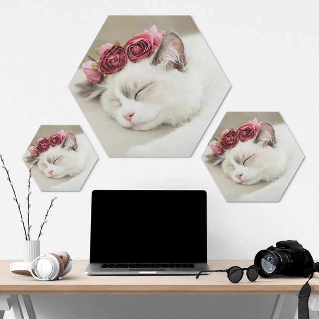 Wanddeko Fotografie Schlafende Katze mit Rosen