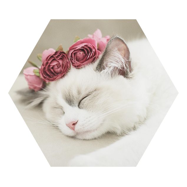 Wanddeko Rose Schlafende Katze mit Rosen
