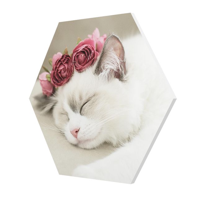 Wanddeko draußen Schlafende Katze mit Rosen
