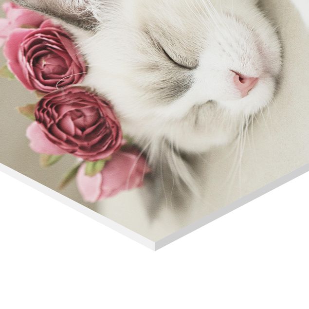 Wanddeko Fotografie Schlafende Katze mit Rosen