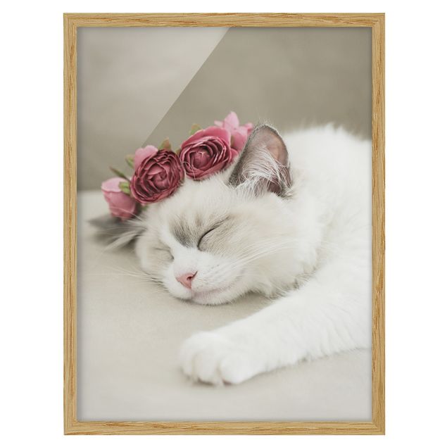 Wanddeko Mädchenzimmer Schlafende Katze mit Rosen