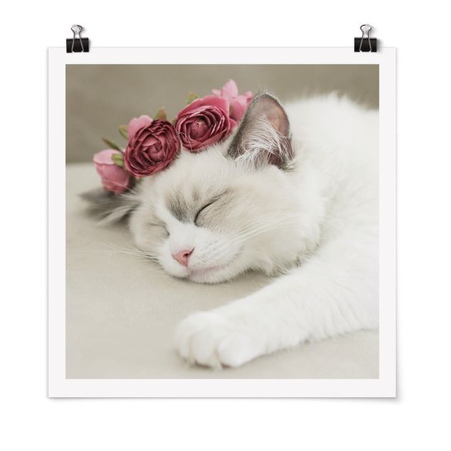 Wanddeko Mädchenzimmer Schlafende Katze mit Rosen