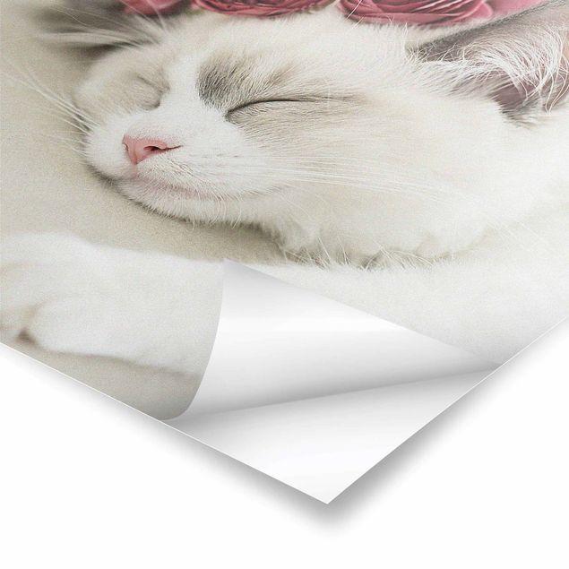 Deko Fotografie Schlafende Katze mit Rosen