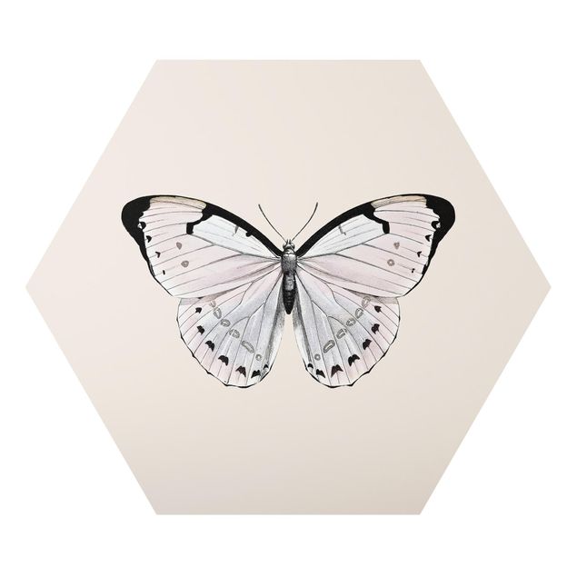 Wanddeko Büro Schmetterling auf Beige