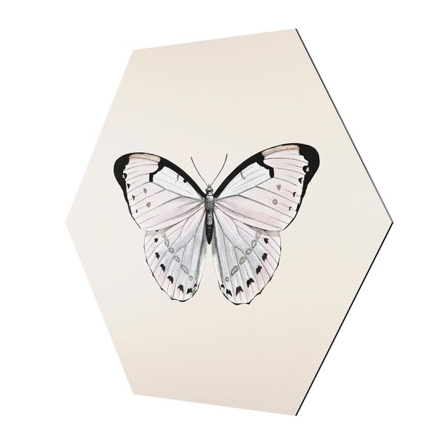 Wandbilder Schmetterlinge Schmetterling auf Beige