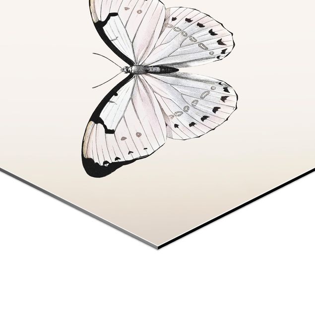 Wanddeko Treppenhaus Schmetterling auf Beige