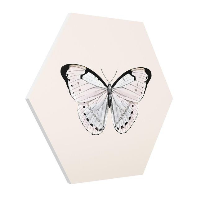 Wanddeko Esszimmer Schmetterling auf Beige