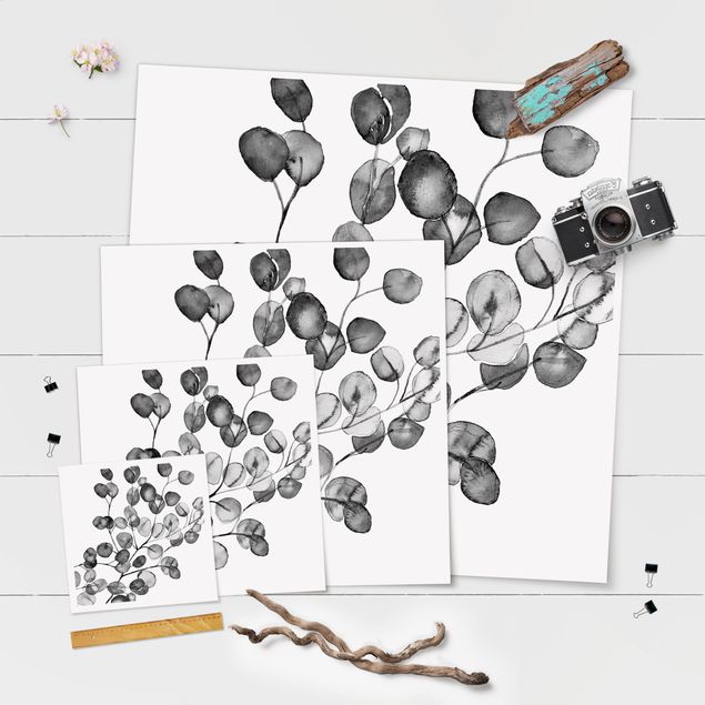 Poster Weiß - 1:1 Schwarz Aquarell - Quadrat Eukalyptuszweig