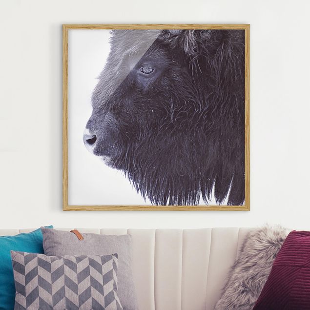 Wanddeko Wohnzimmer Schwarzer Büffel im Portrait