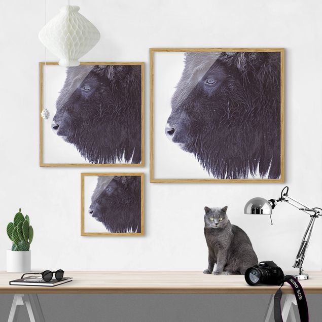 Wanddeko Büro Schwarzer Büffel im Portrait