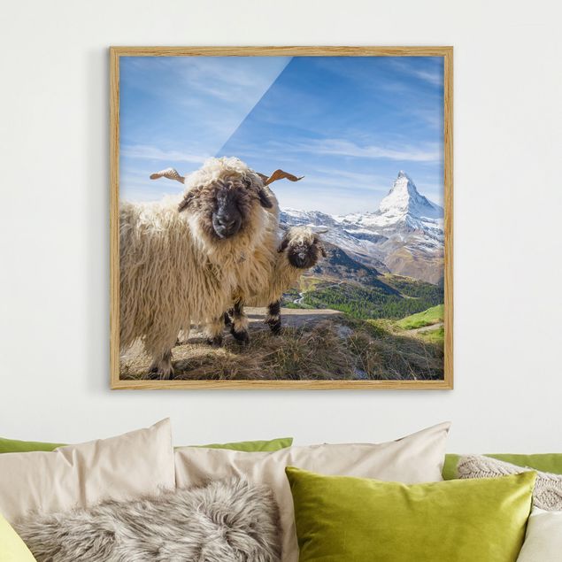 Wanddeko Wohnzimmer Schwarznasenschafe von Zermatt