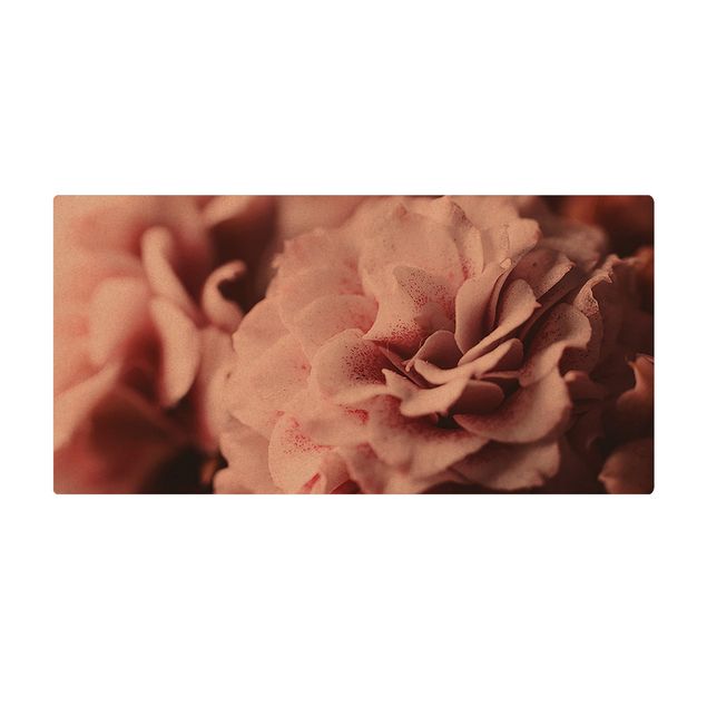 Wanddeko rosa Shabby Rosa Rose Pastell
