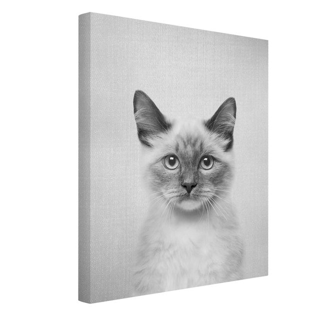 Leiwandbild Katze Siamkatze Sibylle Schwarz Weiß